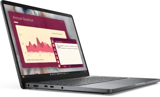 Dell Pro Laptop